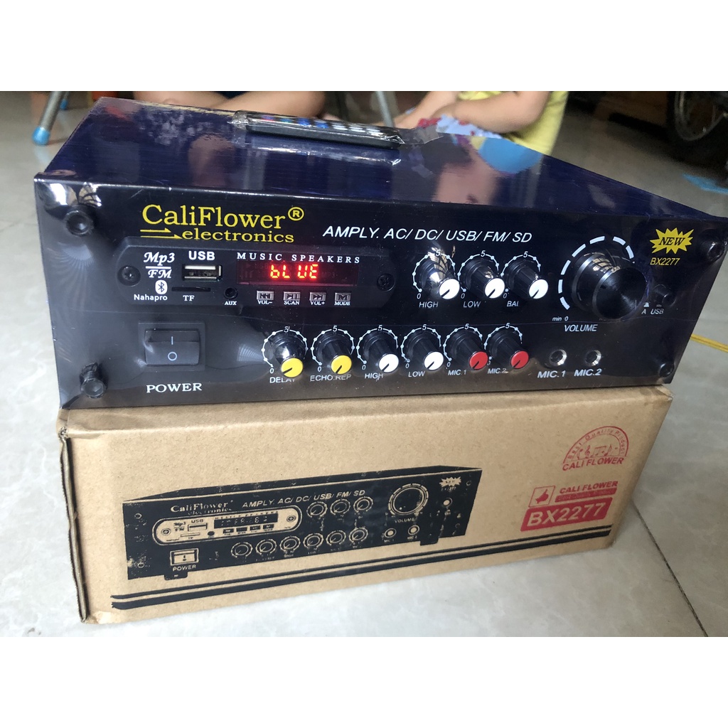 AMPLY KARAOKE MINI DC 12V USB - CALIPLOWER