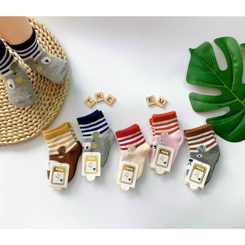 Set 10 đôi tất 0-12 tháng, vớ sơ sinh cute (giao ngẫu nhiên mẫu theo đợt)