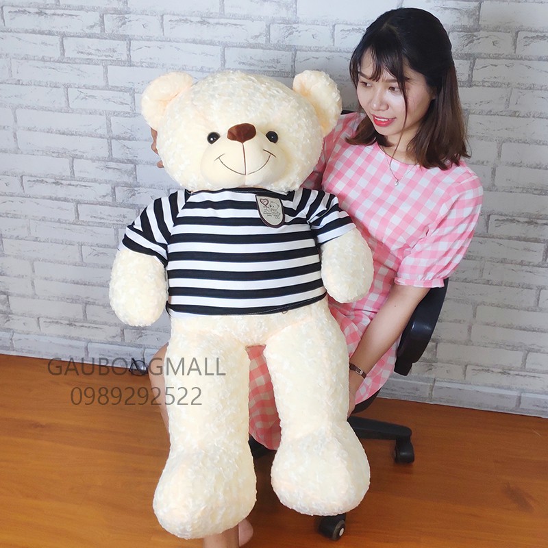 Gấu Teddy 1m2 lông xoắn, áo thun  [Ảnh shop chụp]