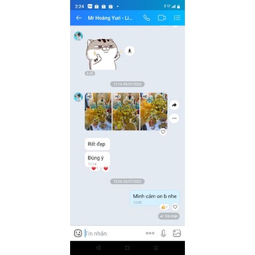 Cây cành vàng lá ngọc size đại gốc 10 nhánh trưng bàn thần tài chiêu tài lộc