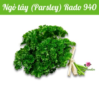 Hạt giống ngò tây Rado 940 gói 2gr