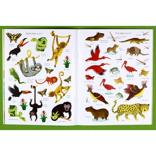 Dính dán - Usborne sticker book - Jungle
