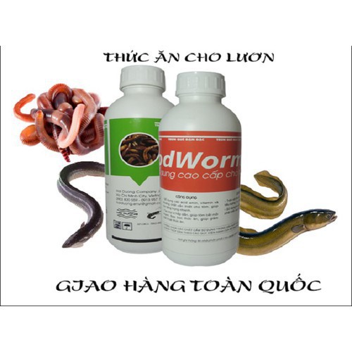 DỊCH TRÙN QUẾ CHO LƯƠN,CÁ - 4 CHAI 1L