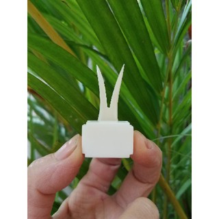 Xiên hoa quả xương dành cho lồng chim Chào Mào