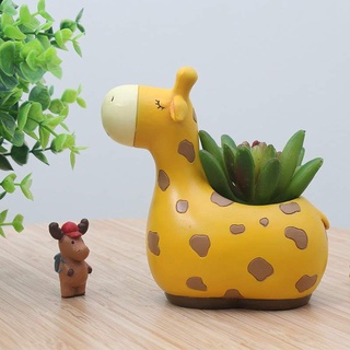 Chậu trồng sen đá Chậu thú