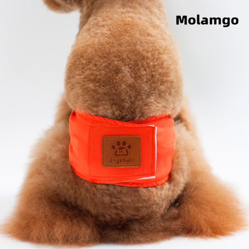 Quần tã chống thấm nước dành cho thú cưng