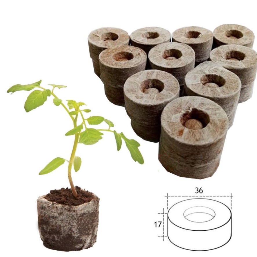 Combo khay và 50 viên nén xơ dừa ươm hạt_Kieufarm
