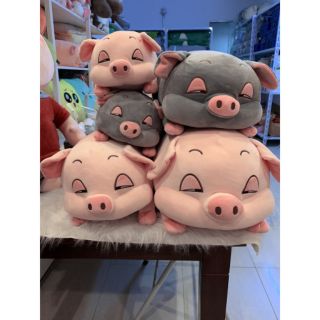 [RẺ VÔ ĐICH] HEO LIM DIM KHỔ 1M2