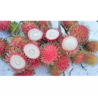 Chôm chôm nhãn long khánh chín đỏ tươi ngon ngọt đậm vị .giao nhanh TPHCM và tỉnh lân cận