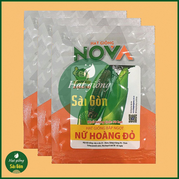 Hạt Giống Bắp Ngọt Nữ Hoàng Đỏ (50 hạt), bắp tím nova nữ hoàng đỏ