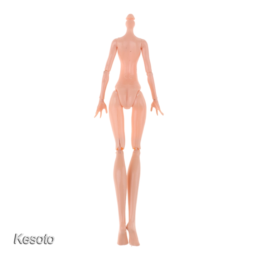 Mô Hình Cơ Thể Nữ Tỉ Lệ 1 / 6