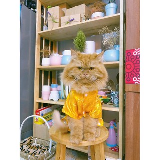 Áo Dài TẾT cho chó/mèo [CÓ BÁN SỈ]