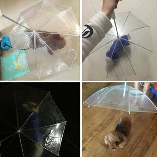 Dù che mưa cho thú cưng