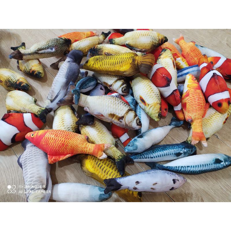🐟🐠🐳CÁ NHỒI BÔNG CATNIP