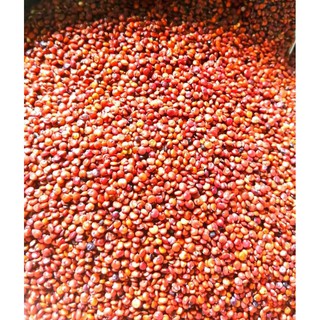 Quinoa - Hạt Diêm mạch