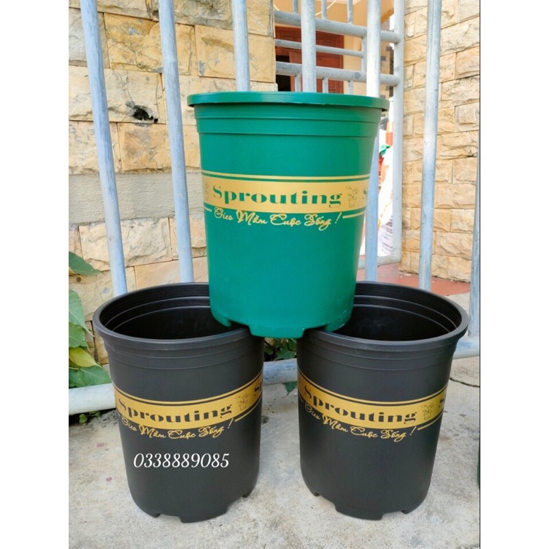 Combo 10 chậu 3, 5gal MONROVIA trồng cây, hoa, hàng sẵn kho