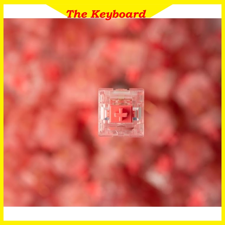 Công tắc bàn phím cơ KTT dâu 5 pin phiên bản mới nhất 2022| Công tắc bàn phím cơ.