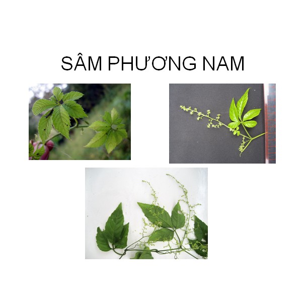 Nước Tắm Trẻ Em Thảo Dược Sữa Cho Bé - TAMBEBE Tăng cường sức khỏe miễn dịch chống viêm Hết Mụn Nhọt | BigBuy360 - bigbuy360.vn