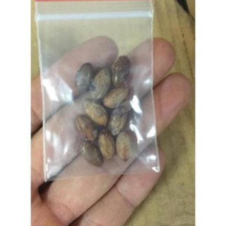 Hạt giống cây thần kỳ
