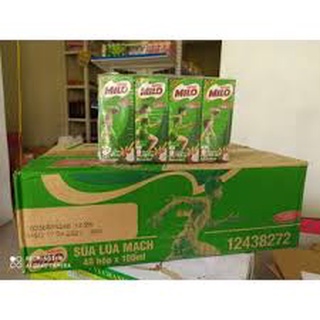 Sữa lúa mạch milo nestle thùng 48 hộp 180ml