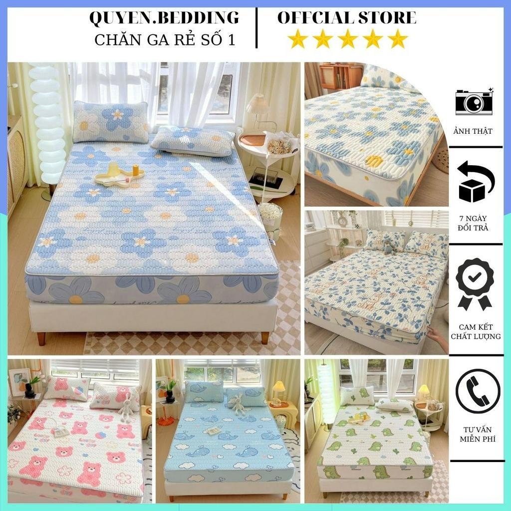Chiếu điều hòa cao su non bo chun 3d nhập khẩu hàng loại 1 chiếu điều hòa bo chun tencel latex thái lan siêu thoáng mát
