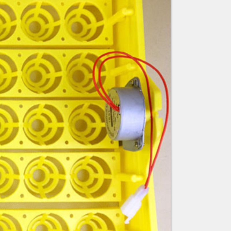 Động cơ máy áp trứng tự động mini 220V