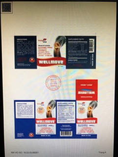 Viên bổ khớp Wellmove