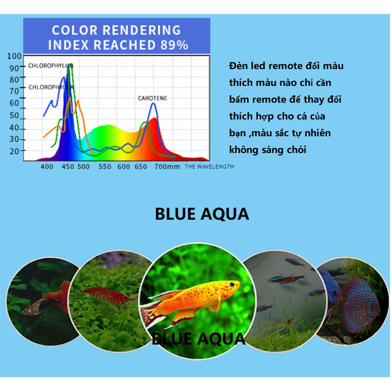 Đèn Led RGB Remote Đổi Màu Cho Hồ Cá