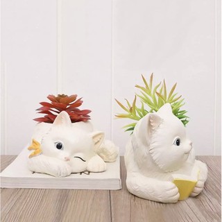 Chậu mèo trồng cây sen đá đáng yêu decor bàn, sân vườn