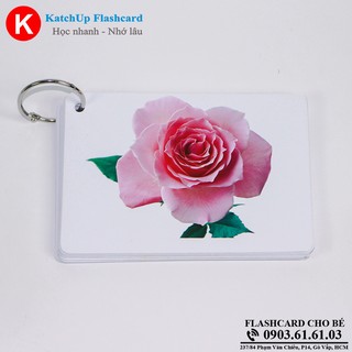 Flashcard tiếng Anh cho bé KatchUp - Màu sắc