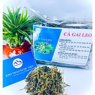 Cà Gai Leo tác dụng tốt cho gan khô, sạch, đẹp