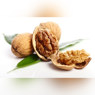 Nhân Hạt Óc Chó Chi Lê 500G