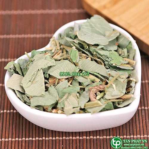 Kim tiền thảo sấy khô - Tấn Phát