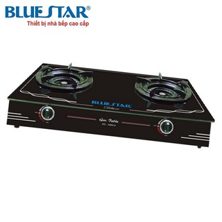 Bếp gas BLUESTAR NG-6980I