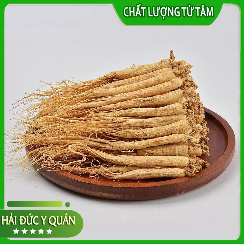 Nhân Sâm Cát Lâm  Size To, Đẹp, Thơm