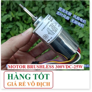 Động cơ từ Brushless phát điện 60w