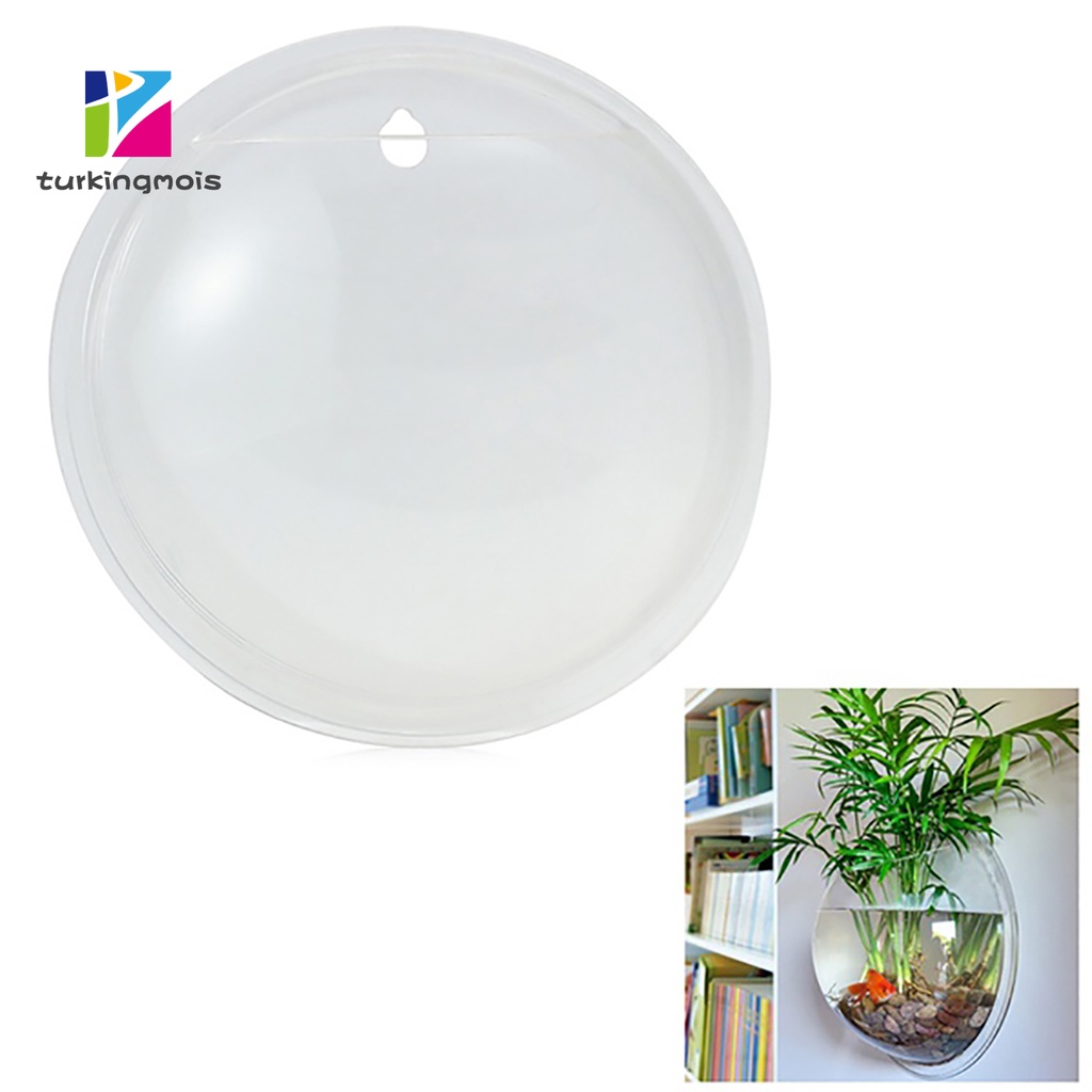 Bình cá cảnh acrylic treo tường sáng tạo