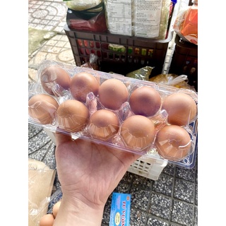 Trứng gà, trứng vịt - hộp 10 trứng ( Nowship từ Quận 6)
