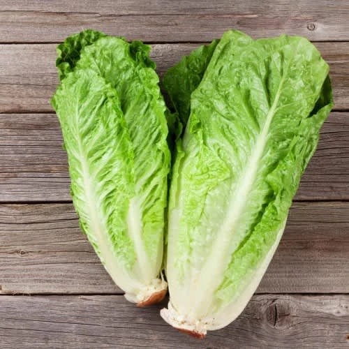 Hạt giống rau xà lách bắp dài Cos Lettuce xanh nhập Thái lan nguyên gói