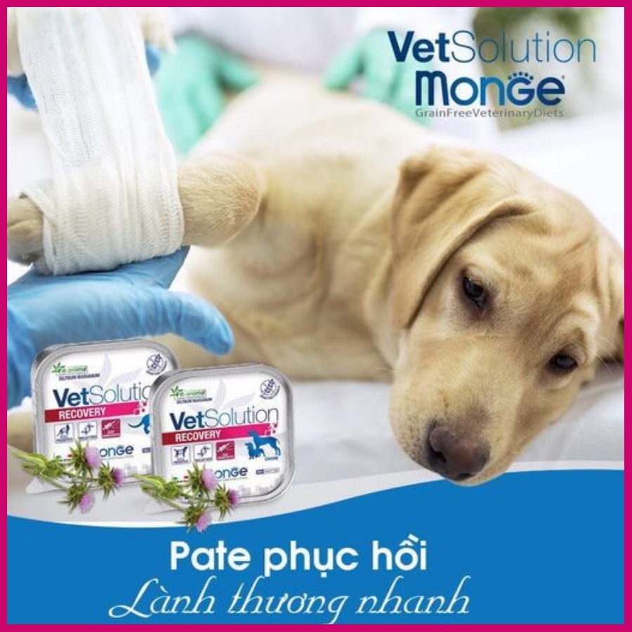 Pate Monge Cho Chó Nhiều Vị Thơm Ngon 100g Pet Cưng