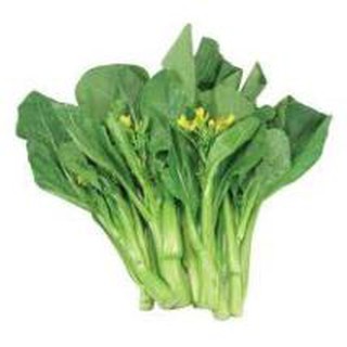 10 gram hạt giống cải ngồng mập