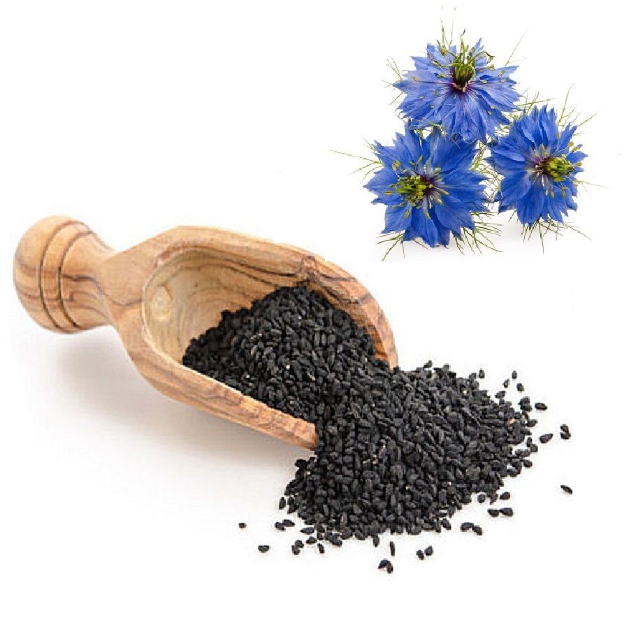 Black Cumin - Thì Là Đen SPICESUPPLY Việt Nam Black caraway Hũ 80g