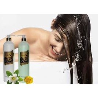 Dầu gội cặp garden 1100ml