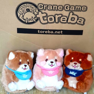 Mochi shiba lông xù new version 2019