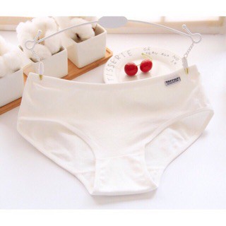 MS 10.Quần Lót Cotton Thấm Hút Mồ Hôi POLO | BigBuy360 - bigbuy360.vn