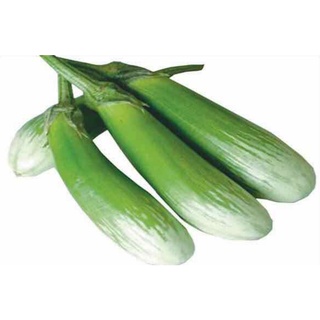 Hạt cà phổi sọc lem f1 - gói 1 gram