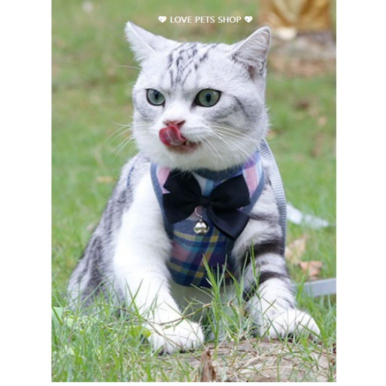 BỘ DÂY DẮT CHÓ MÈO KÈM YẾM SỌC CARO DỄ THƯƠNG - LOVE PETS SHOP