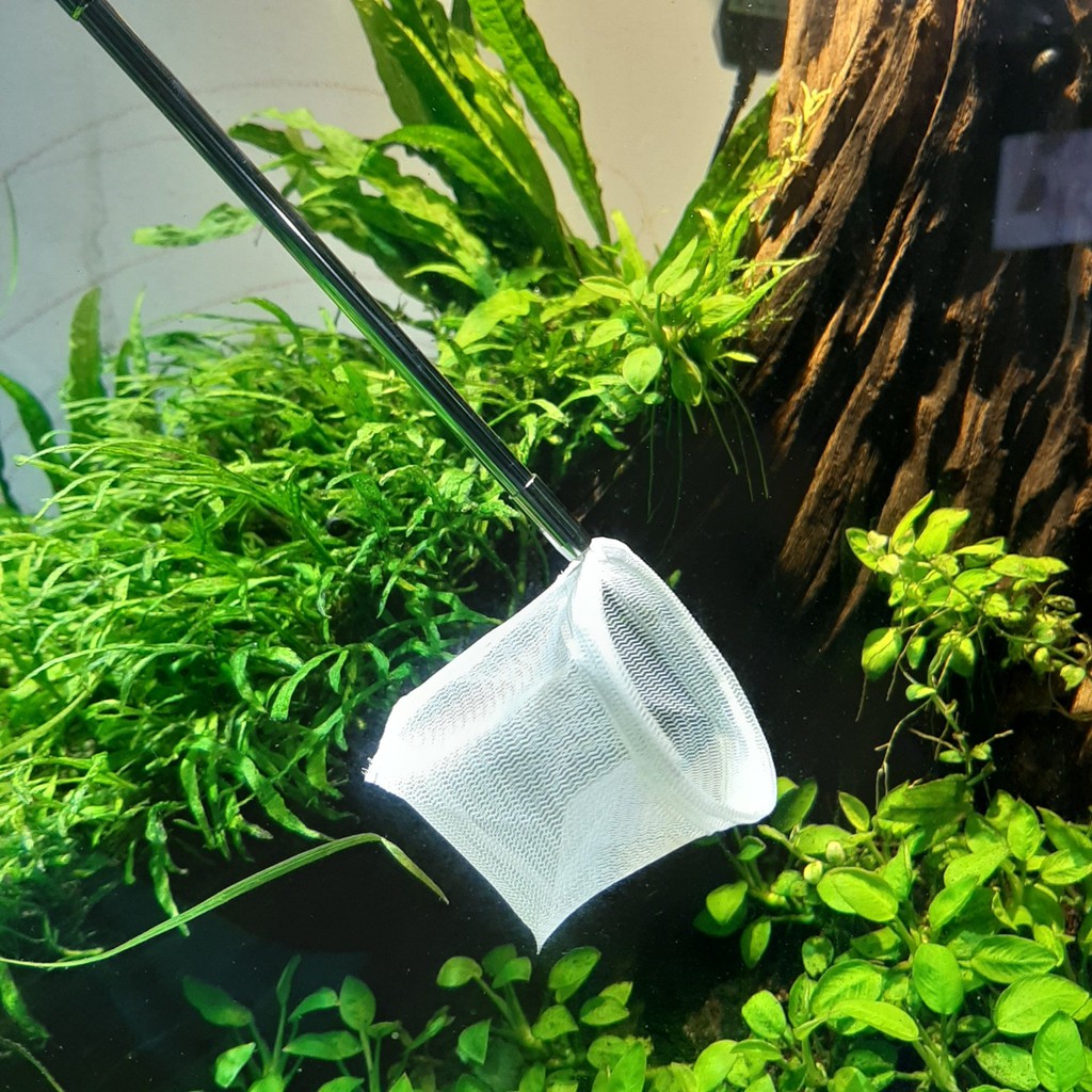 Vợt Tép 3D inox - Vợt Tép Xếp Khúc Nhỏ Gọn