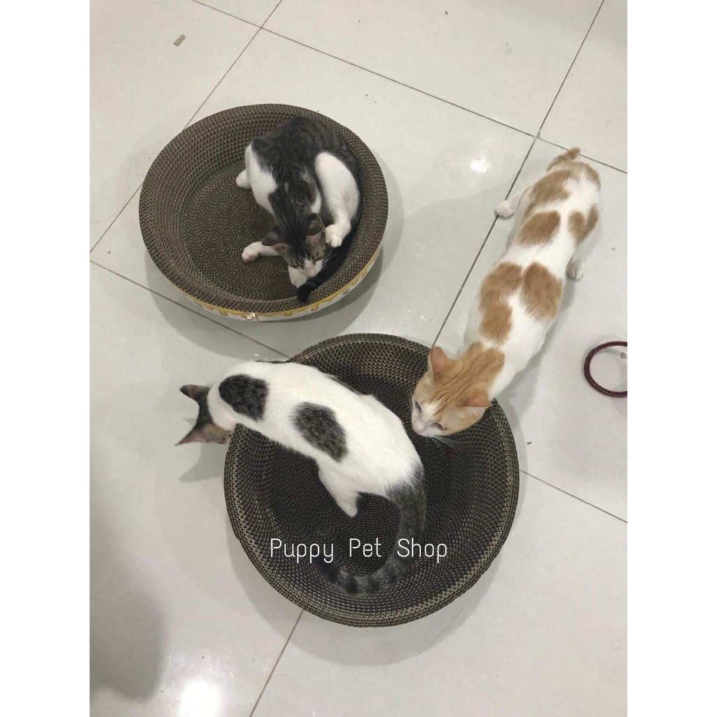 Cào móng giấy ổ tròn