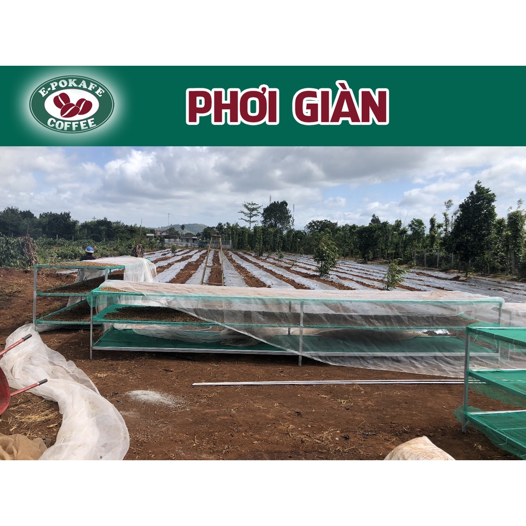 Robusta Honey Blend Arabica, cafe rang xay nguyên chất pha máy, pha phin từ E-POKAFE | BigBuy360 - bigbuy360.vn